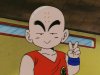 Kid_krillin_peace.jpg