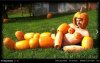 Sexy Pumpkin man.jpg