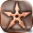 Bronze Shuriken